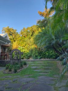Jardín privado con palmeras en casa de lujo Rohrmoser
